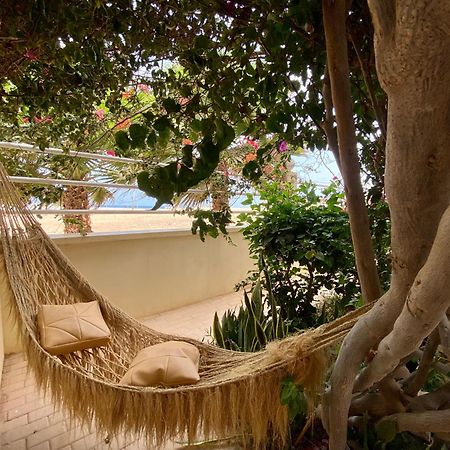 Terra Kriola Aparthotel Σαλ Ρέι Εξωτερικό φωτογραφία