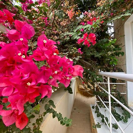 Terra Kriola Aparthotel Σαλ Ρέι Εξωτερικό φωτογραφία