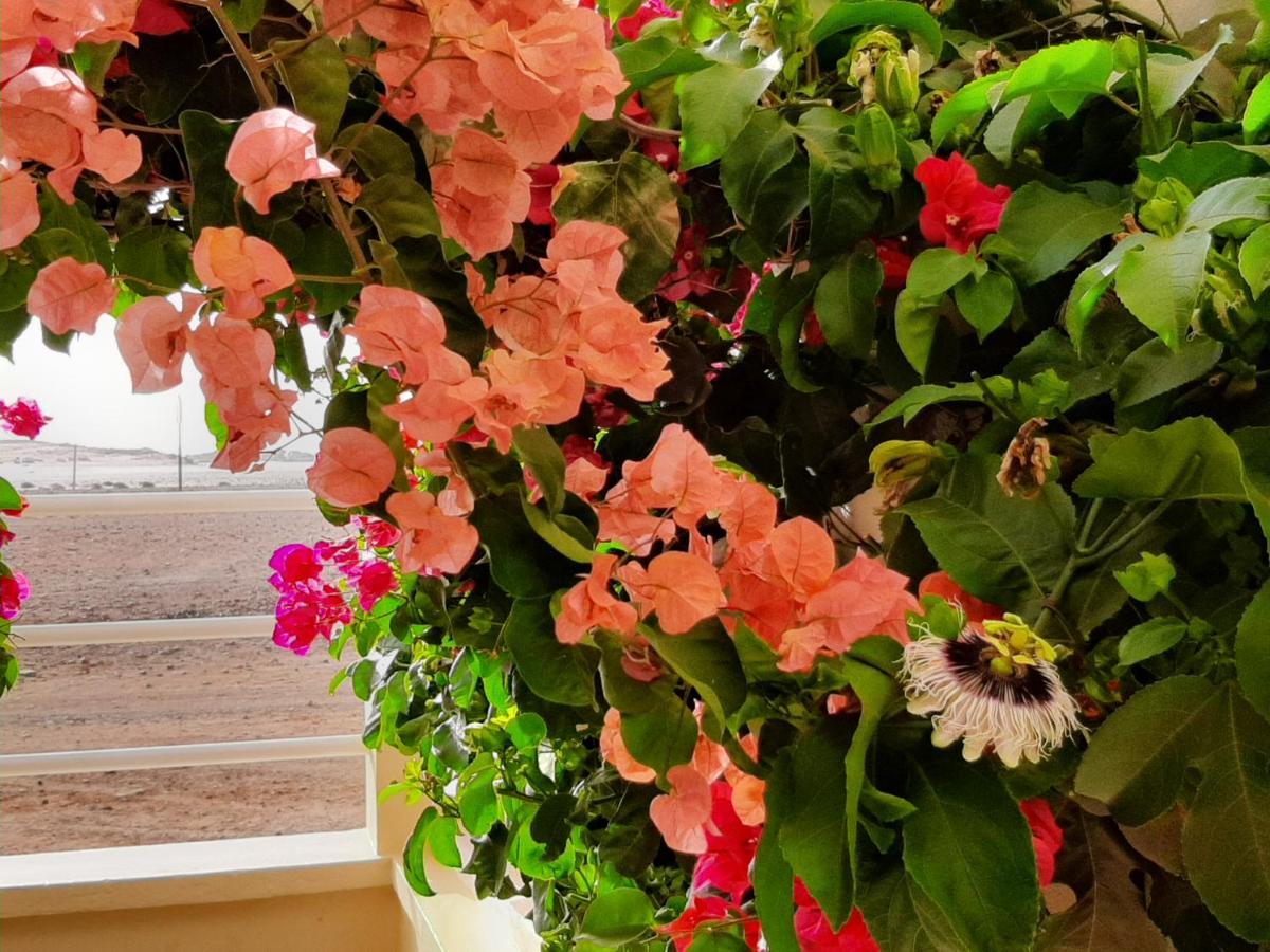Terra Kriola Aparthotel Σαλ Ρέι Εξωτερικό φωτογραφία
