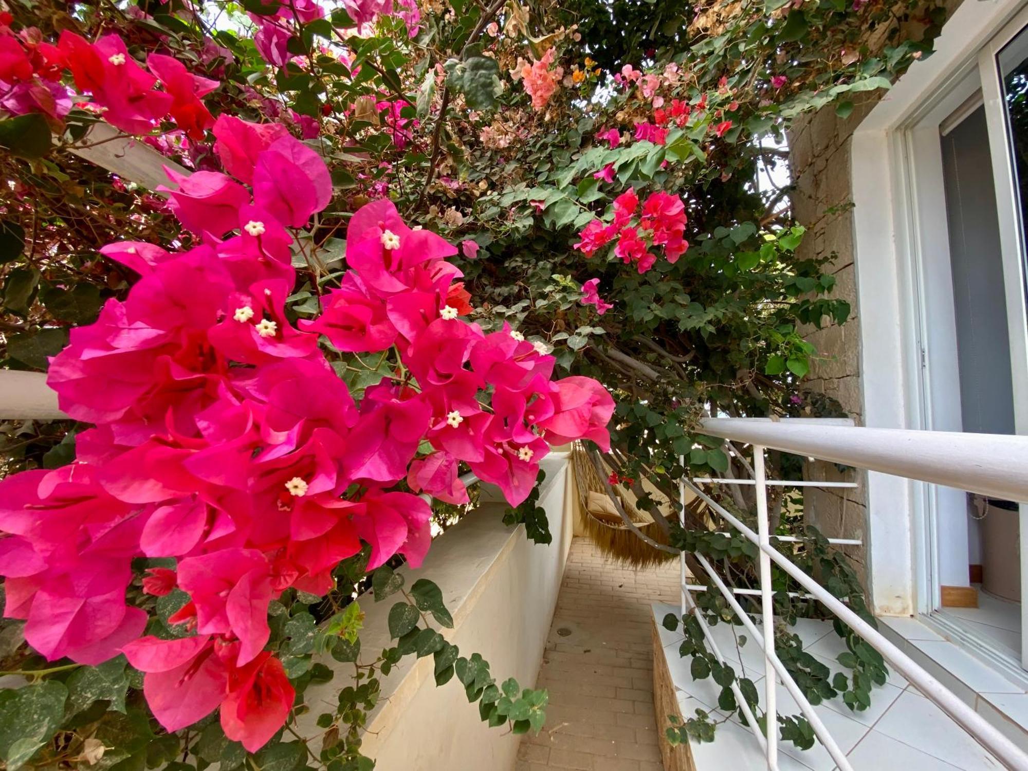 Terra Kriola Aparthotel Σαλ Ρέι Εξωτερικό φωτογραφία