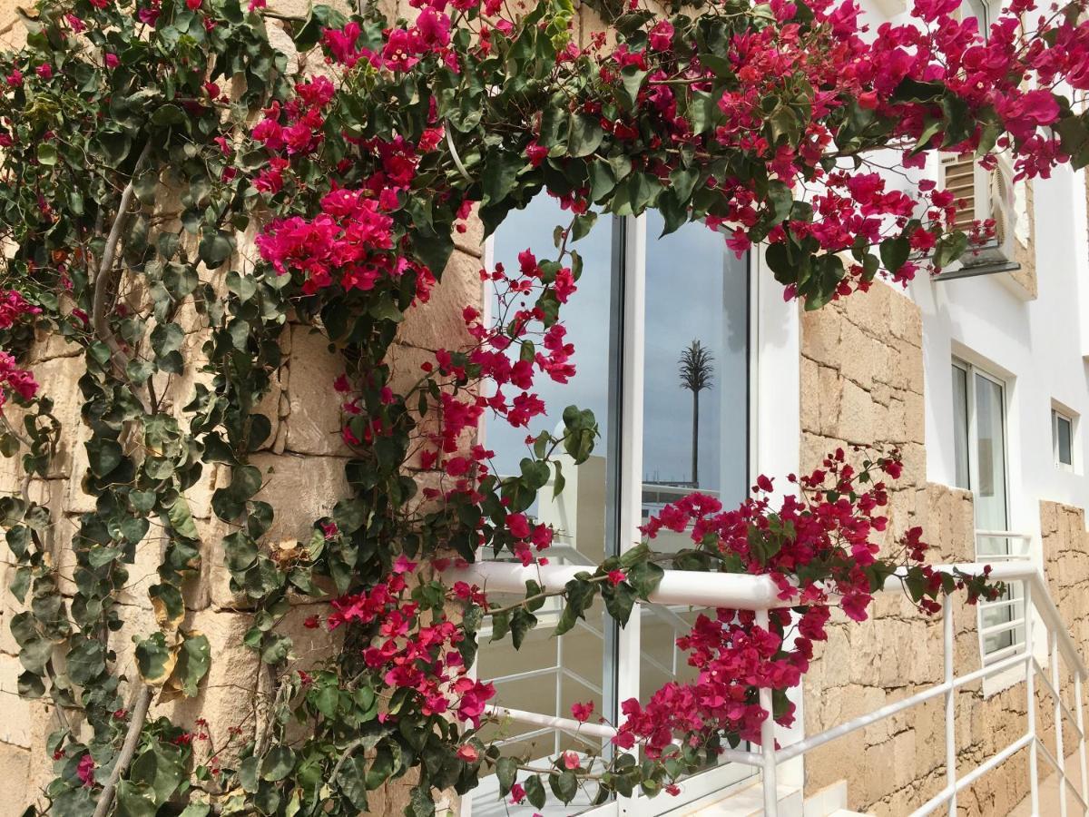 Terra Kriola Aparthotel Σαλ Ρέι Εξωτερικό φωτογραφία