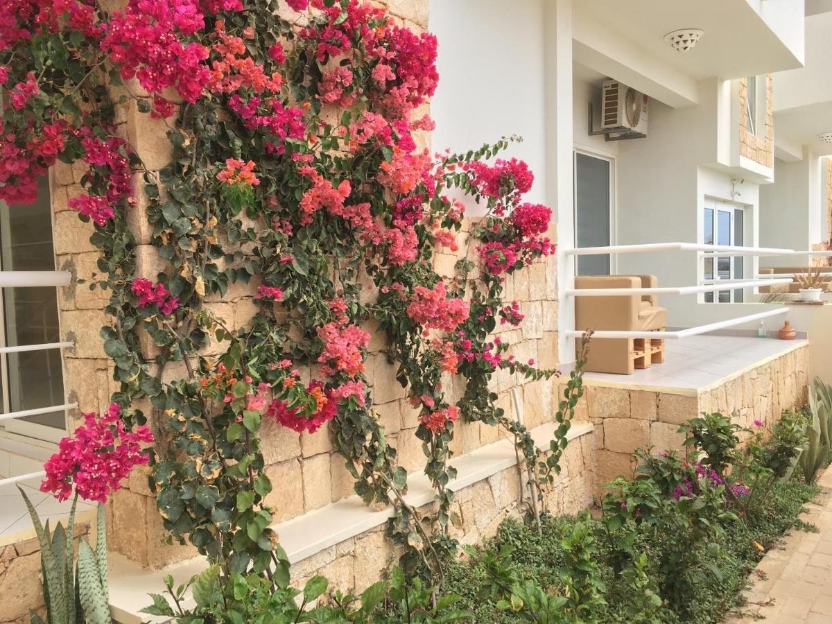 Terra Kriola Aparthotel Σαλ Ρέι Εξωτερικό φωτογραφία